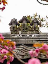 フォトジェニックな人気のお寺【八坂庚申堂】