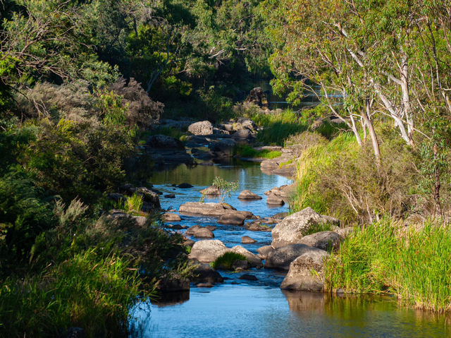 Chasing Serenity at Buckley Falls Lookout