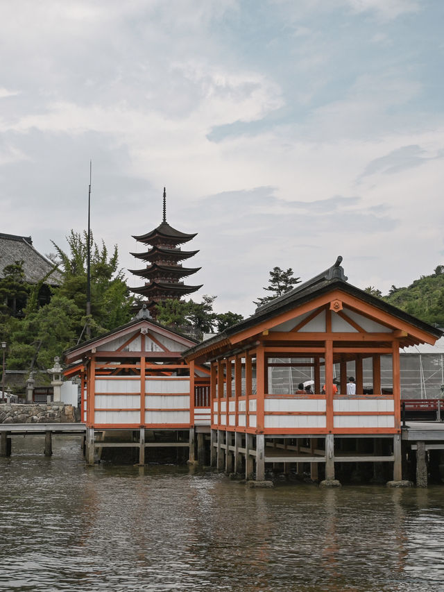 【広島】広島の絶景、厳島神社⛩️