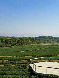 Singha Park