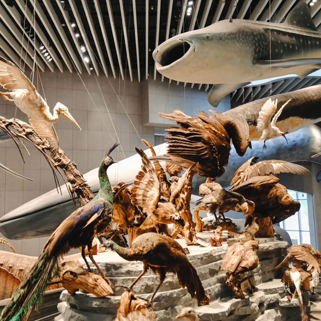 Natural History Museum - Shanghai