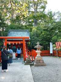 ไหว้พระ ขอพร ที่ศาลเจ้า | คามาคุระ ⛩️🏮