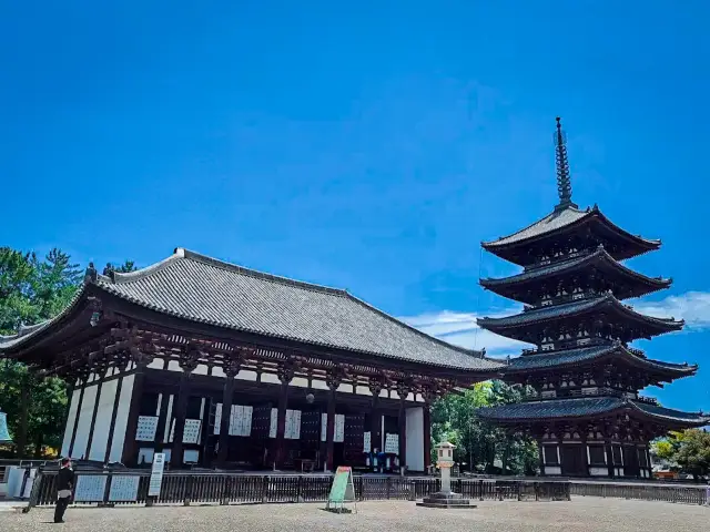 【奈良】世界遺產！奈良的興福寺