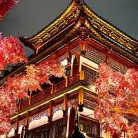 🌆 Explore Shanghai: A Fusion of Tradition & Modernity 🏙️
