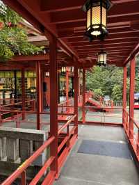 探訪來宮神社大楠：靜岡熱海的千年神樹，祈願與能量的聖地