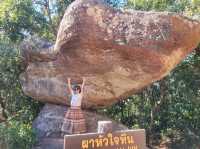 ลานหินปุ่ม พิษณุโลก