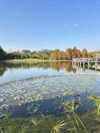 香港秋冬景點：本地人才會去小眾公園 