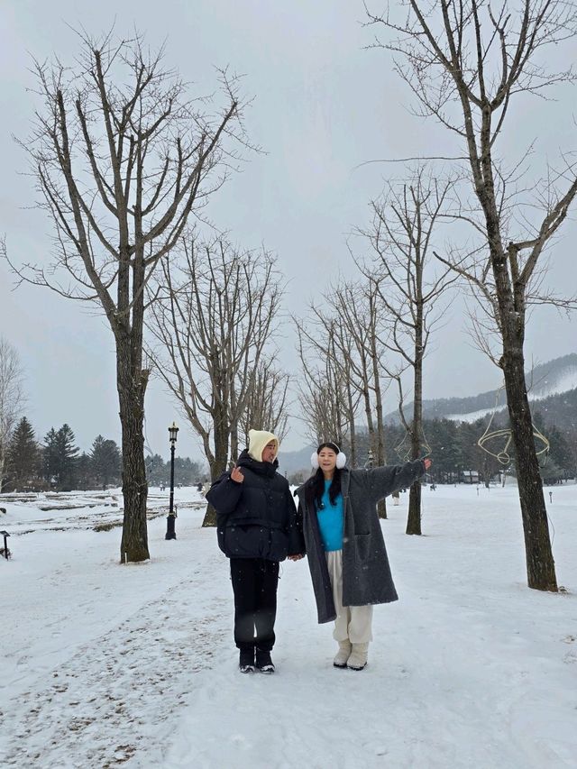 실시간 눈내리는 평창 유럽 정원🤍