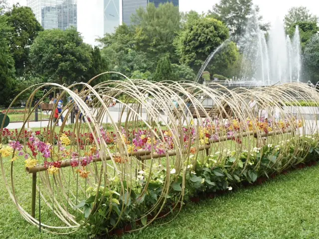 大自然在城市中：探索香港動植物公園