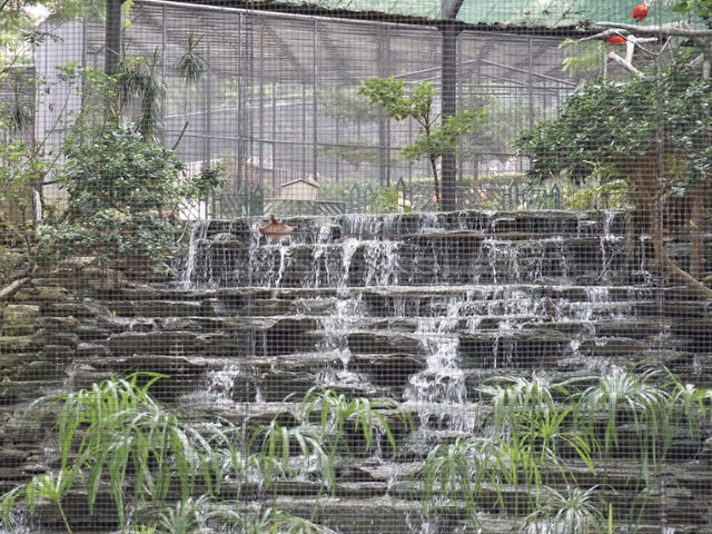 Nature in the City: Exploring Hong Kong Zoo and Botanical Gardens