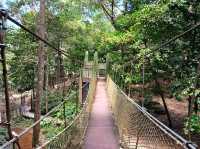Gunung Lambak Kluang Johor,it is free to explore the nature