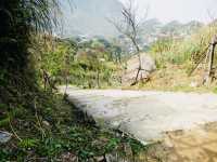 Hiking to the Gold Temple: A Path to the Sky