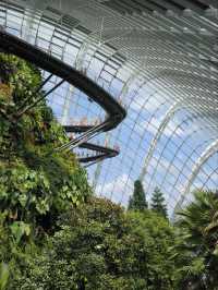 3D Garden in the city (nature, culture and food immersion)