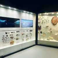A Fascinating Journey Through Time at Melbourne Museum 🇦🇺
