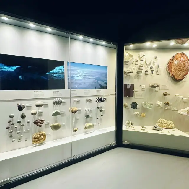 在墨爾本博物館展開一場迷人的時光之旅 
