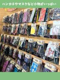 【ペナン女一人旅】マレーシアならではのお土産を買える！オススメ雑貨店二選！