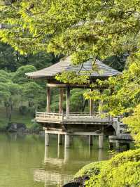 Naritasan Day Trip: Unveiling a Hidden Gem Near Tokyo