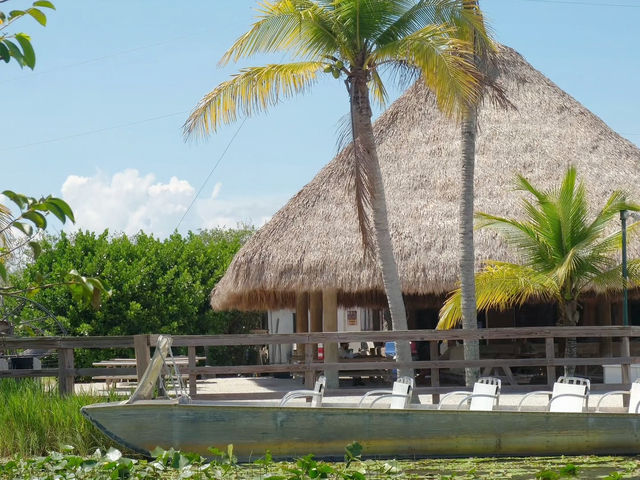Into the Wild – Exploring the Untamed Beauty of Everglades National Park