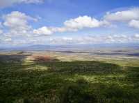 Unforgettable 3-Day Safari in Maasai Mara🦁