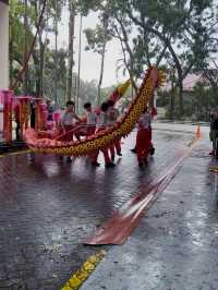 Miri’s Lunar Festivities: Fortune & Tradition! 🐍🏮