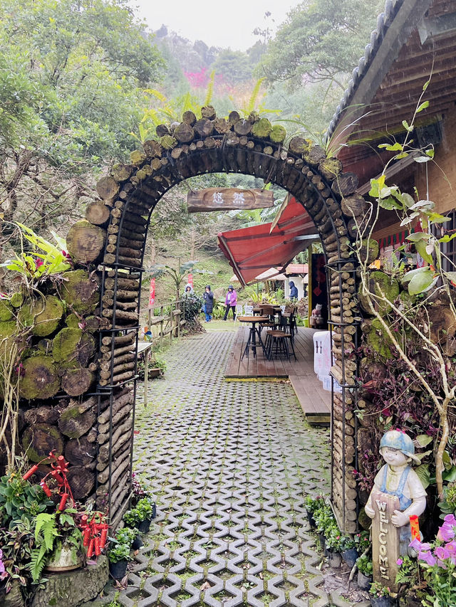 春日限定美景！桃園山林秘境，櫻花滿開超夢幻！