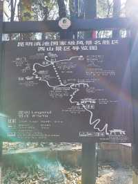 Kunming: A Captivating City of Natural Wonders