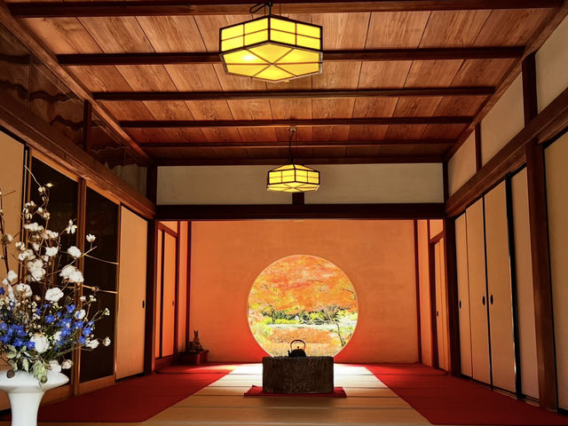 【鎌倉】ひとり旅にオススメ！心もお腹も大満足！