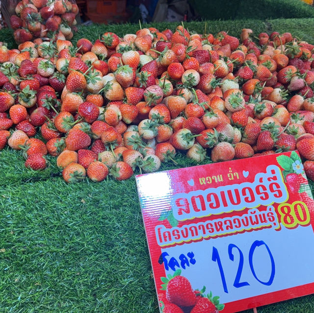 งานรักษ์เหลืองจันท์ครั้งที่ 23 