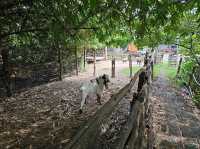 Get Growing Community Farm