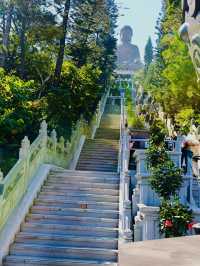 Majestic Serenity: The Tian Tan Buddha