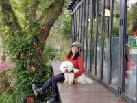 藏在深山的“6號公園”露營區也是網美景觀餐廳喔！
