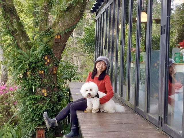 藏在深山的“6號公園”露營區也是網美景觀餐廳喔！