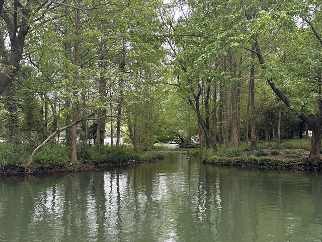油畫一樣的靚景👍🏻👍🏻👍🏻