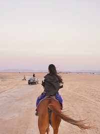 🇪🇬에메랄드 해변따라 말타며 석양까지! 라구나비치🐎🌅