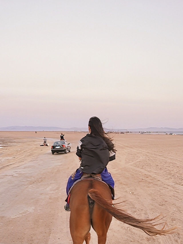 🇪🇬에메랄드 해변따라 말타며 석양까지! 라구나비치🐎🌅