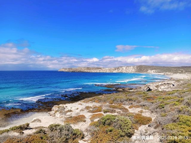 澳洲袋鼠島2種自由行方式