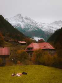 Discover Alpine Beauty at Schynige Platte: A Hidden Gem of Switzerland