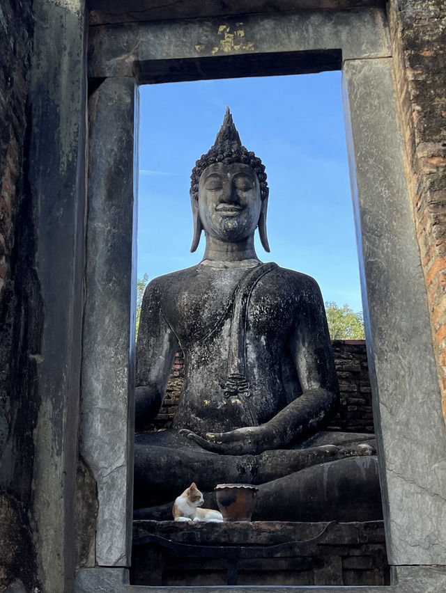  วัดศรีชุม (พระอจนะ) สุโขทัย