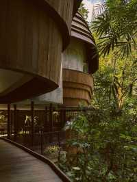 Tree house cafe at ubud