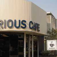  Curious Cafe
