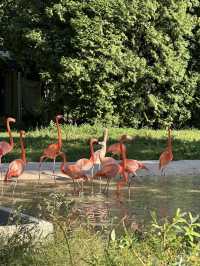 Seoul Grand Park: A Scenic Escape with a Cable Car Adventure