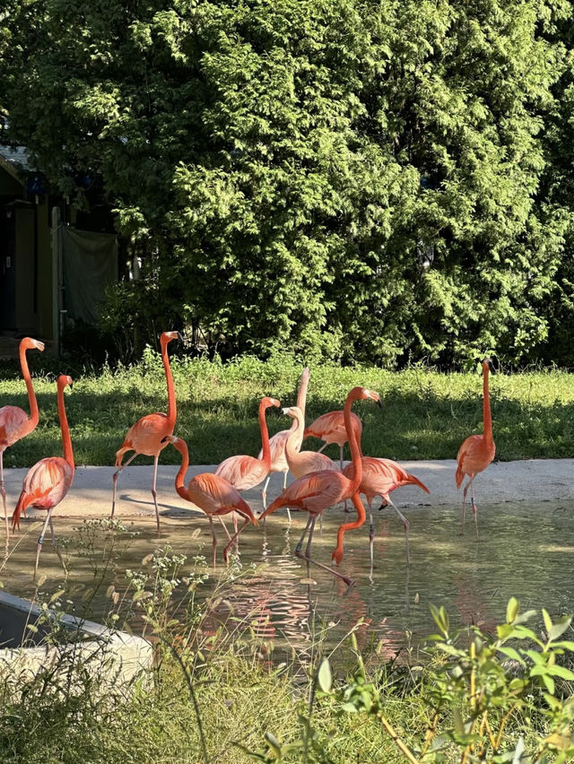 Seoul Grand Park: A Scenic Escape with a Cable Car Adventure