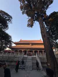 Miếu khổng tử