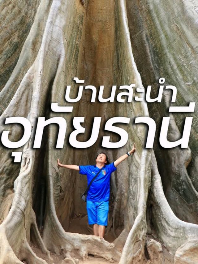 เที่ยวบ้านไร่ ชมต้นไม้ยักษ์ อายุมากกว่า 400 ปี