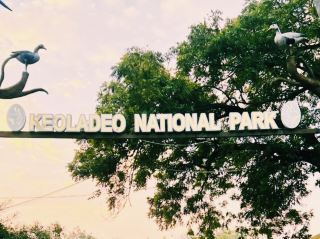 A paradise for wild birds! A mecca for birdwatching🦢🌿