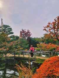 如果你熱愛日式庭園造景，相信我白鳥庭園🎋你會喜歡👍👍👍