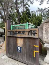 부산 기장에서 만난 바다가 보이는 절, 해동 용궁사