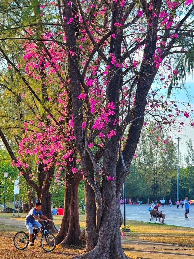 สวนสาธารณะ ภูเก็ต