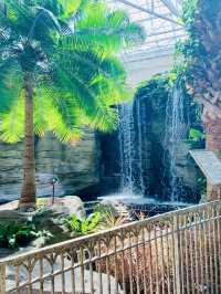 Springtime Bliss at Gaylord Palms Resort, Florida