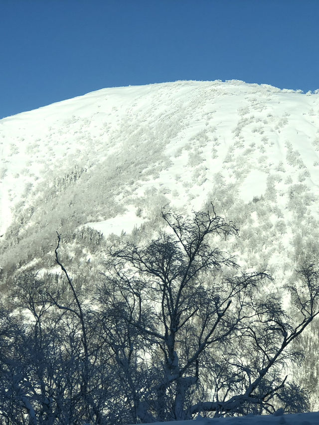 Skiing the Peaks: An Unforgettable Adventure at Yabuli Resort